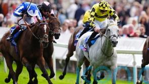 Shadow Dance confirms he is back on track