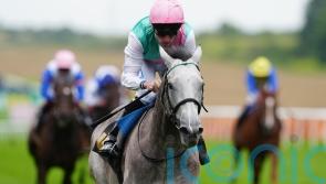 Field Of Gold out to give Gosdens seventh Solario success