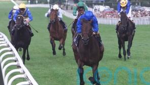 Dubai Millennium joins racing’s Hall of Fame