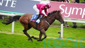 Extensio heading back over hurdles after York success