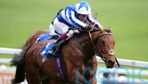 Bellum Justum to continue his international exploits