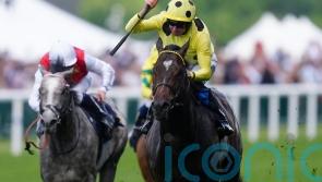 Inisherin and Elite Status head sweet 16 in Betfair Sprint Cup
