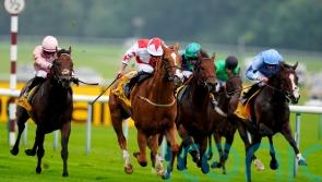 Holloway Boy makes long-awaited return to winner’s enclosure