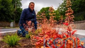 Carlow town cleans up at European competition for environmental excellence