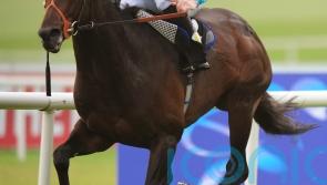 ‘Superstar’ Brown Panther will always be remembered fondly