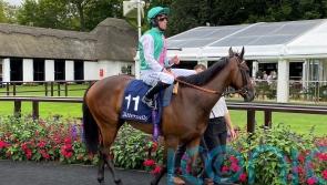 Nice test likely to be next for Salisbury winner Tabiti