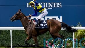 Goliath to miss planned Cologne run this weekend