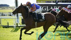 Lake Victoria in Cheveley Park mix for Aidan O’Brien