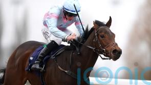 Williams eyeing further American targets for Pandora’s Gift