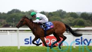 Tamfana among Sun Chariot field as Inspiral and Nashwa set to clash