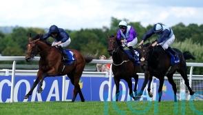 Japanese support growing ahead of Al Riffa’s Arc date
