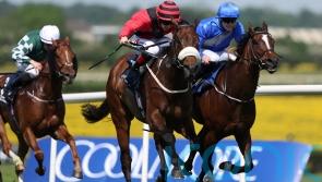 Mutasarref charts winning path in Navigation Stakes