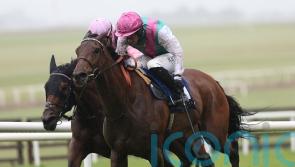 Top filly Bluestocking added to Arc field