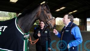 Constitution Hill ‘in terrific form’ with Fighting Fifth return in sight