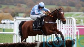 Cannock Park to kick off chase career at Hexham