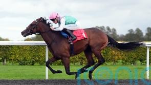 Detain’s dominance puts him into Futurity Trophy equation