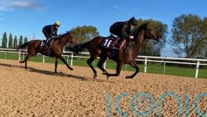 Big Evs prepares for Breeders’ Cup bid with Southwell gallop