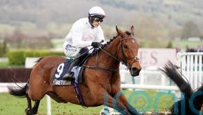 Absurde backed to make his presence felt alongside Vauban in Melbourne