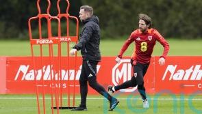 Craig Bellamy says ‘romantic’ Montenegro return for Joe Allen would be a gamble