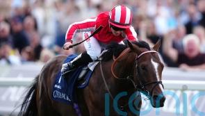 Bradsell to sign off after Breeders’ Cup bid