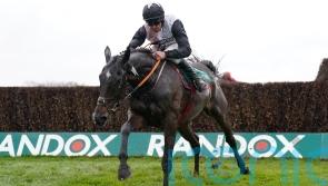 Gerri Colombe set for return to Down Royal next month