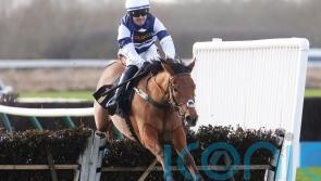 Givemefive ‘in good nick’ for upcoming Cheltenham target