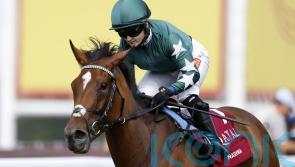 Hollie Doyle pays tribute as Nashwa bows out