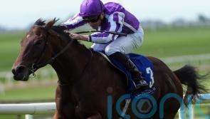 Delacroix to mount Futurity challenge for O’Brien
