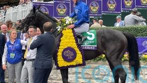 ‘He’s a big player’ – Appleby looking forward to Rebel’s Romance