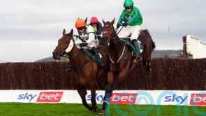 Calico collects valuable Cheltenham prize for Skelton