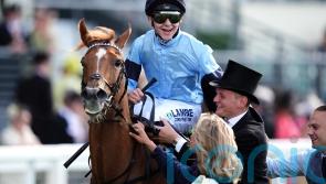 Loughnane relishing Soprano Breeders’ Cup chance