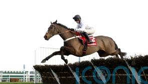 Henderson ‘couldn’t be happier’ following Constitution Hill gallop