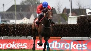 Envoi Allen back in Grade One winner’s enclosure