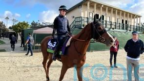 Ramatuelle set for retirement after Coolmore sale