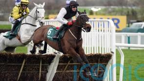 Cromwell open to Navan or Cheltenham next for Flooring Porter