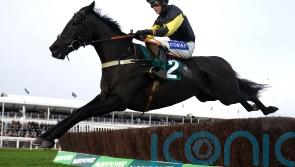 Jpr One leads Haldon Gold Cup challenge for Tizzard
