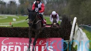 Saint Sam makes no mistake with Clonmel Oil opportunity