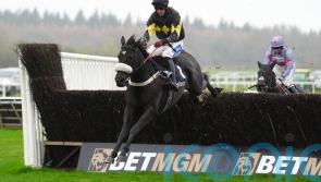 JPR One gives Tizzard team yet more Haldon Gold Cup glory