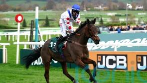 ‘It’s what every jockey dreams of’ – Il Ridoto and Freddie Gingell claim Paddy Power Gold Cup glory
