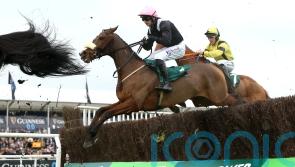 Mullins and Transmission the perfect match for in-form Mulholland