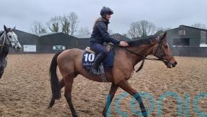 Staying star Teahupoo preparing for Hatton’s Grace defence
