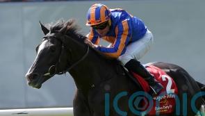 Auguste Rodin ‘in good condition’ after Japan Cup gallop
