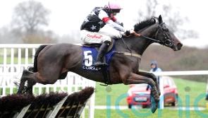 Soft ground key to Salver’s Ascot Hurdle challenge