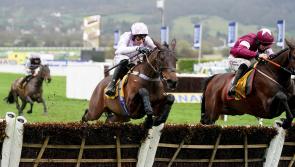 Scott ‘happy’ with Golden Ace ahead of Ascot return