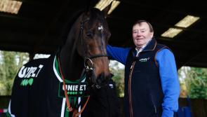 Constitution Hill ‘unlikely’ to make Fighting Fifth date