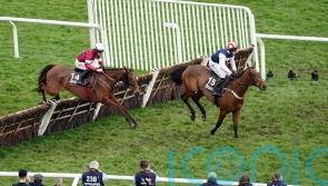 All eyes on The Jukebox Man for Newbury fencing debut