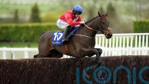 Quilixios primed for Tingle Creek and ‘pretty adaptable’ ground-wise