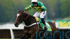 Jonbon all set to bid for Tingle Creek double