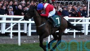 Mullins describes Ferny Hollow death as ‘very, very sad’