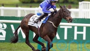 Ascot calling, with Energumene in good shape after weekend return